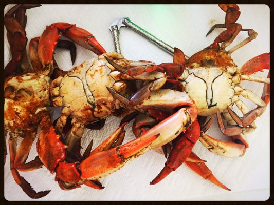 Shag's Crab & Seafood by null