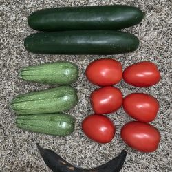 Soriano Market - Mini haul of the day- zucchini, cucumber, tomatoes, and a plantain :)