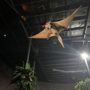 Jurassic Jungle Boat Ride - Amusement Parks Near Me - Pigeon Forge, Tennessee