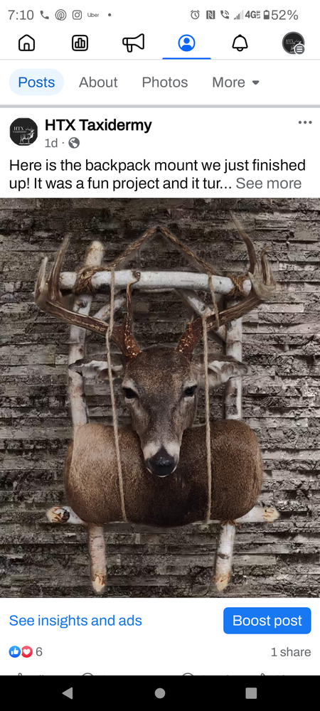 HTX Taxidermy - taxidermy in Pasadena, TX