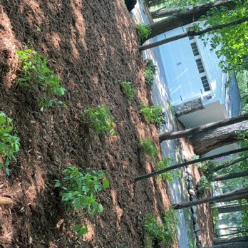Good Lookin Properties - Landscaping Near Me - Ulen, Minnesota Good Lookin Properties - Landscaping Near Me - Ulen, Minnesota