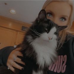A Passion for Paws - The little tank (20lbs)-Felix