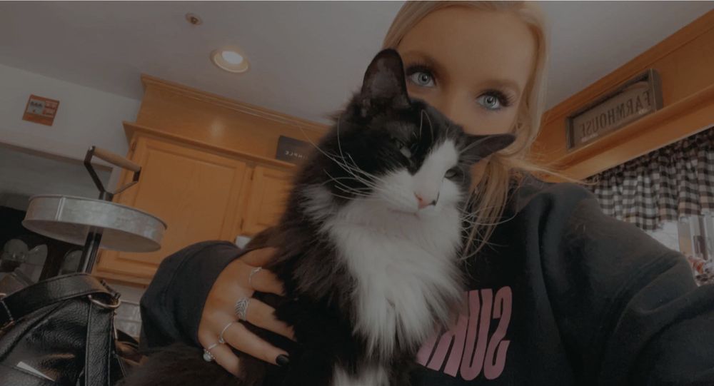 A Passion for Paws Image