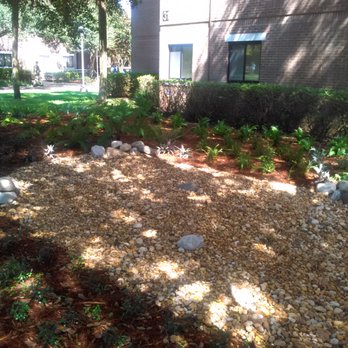 Ken-Lin Landscaping & Maintenance Services - Dry pond at UCF - Landscaping Near Me - Oviedo, Florida Ken-Lin Landscaping & Maintenance Services - Dry pond at UCF - Landscaping Near Me - Oviedo, Florida