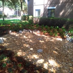Ken-Lin Landscaping & Maintenance Services - Dry pond at UCF