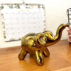 HomeGoods - So happy I got this little guy here!
