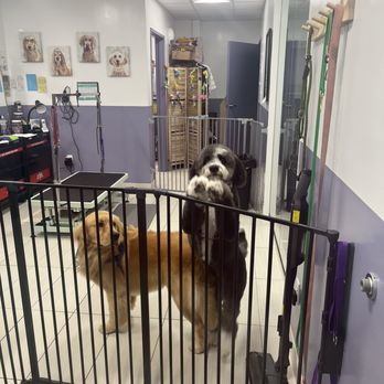 EarthWise Pet Cardiff - Two cuties - Pet Stores Near Me - Cardiff, California EarthWise Pet Cardiff - Two cuties - Pet Stores Near Me - Cardiff, California