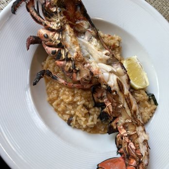 Tumi Peruvian and Italian Kitchen - Lobster Risotto - Italian Near Me - Hyannis, Massachusetts Tumi Peruvian and Italian Kitchen - Lobster Risotto - Italian Near Me - Hyannis, Massachusetts
