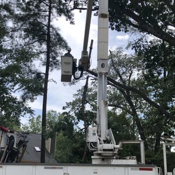 Crown Tree Care - Tree Services Near Me - Concord, North Carolina Crown Tree Care - Tree Services Near Me - Concord, North Carolina