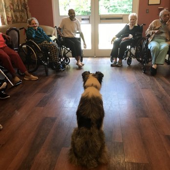 Positive Splash Dog Training - Nursing Home visits - Pet Training Near Me - Molino, Florida