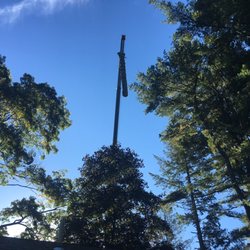 Regal Tree & Shrub Experts