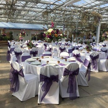 Buchwalter Greenhouse - Weddings at Buchwalter Greenhouse - Nurseries & Gardening Near Me - Wooster, Ohio Buchwalter Greenhouse - Weddings at Buchwalter Greenhouse - Nurseries & Gardening Near Me - Wooster, Ohio