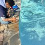 Photo of SCV Pool Cleaner