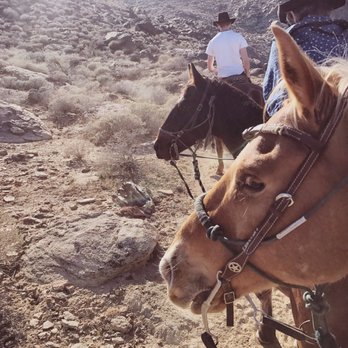 Smoke Tree Stables - Horseback Riding Near Me - Palm Springs, California Smoke Tree Stables - Horseback Riding Near Me - Palm Springs, California