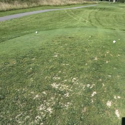 Wyncote Golf Club - Tee box with crabgrass