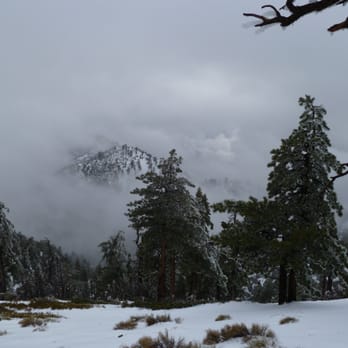 Old Mt. Baldy Trail - Old Baldy Trail - Hiking Near Me - Mount Baldy, California