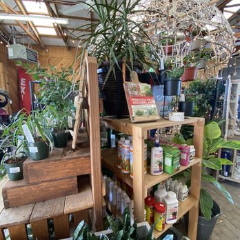 Wyntour Gardens - Indoor plant area - Nurseries & Gardening Near Me - Redding, California