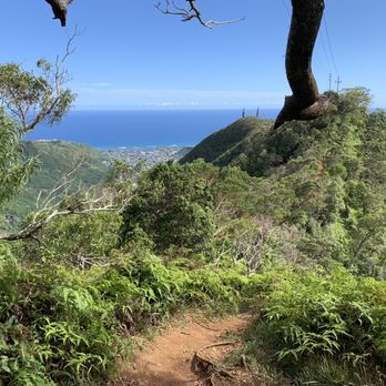 Wiliwilinui Ridge Trail - Hiking Near Me Wiliwilinui Ridge Trail - Hiking Near Me