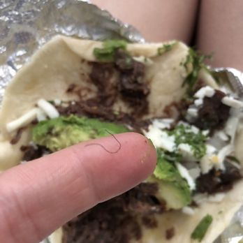 Torchy's Tacos - The hair found in my The Democrat - Tex-Mex Near Me - Austin, Texas Torchy's Tacos - The hair found in my The Democrat - Tex-Mex Near Me - Austin, Texas