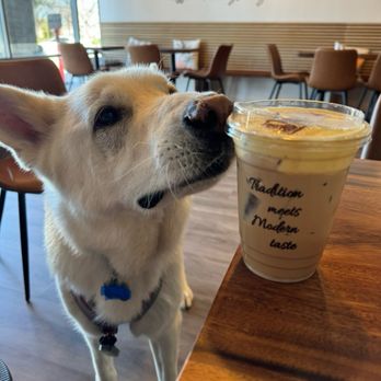 Phin Cafe - He smells the egg and wants one too - Coffee & Tea Near Me - San Jose, California