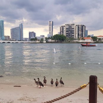 Joia Beach - Beautiful Joia Beach is for everyone! - Modern European Near Me - Miami, Florida