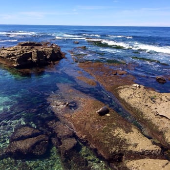 Children's Pool - Children's Beach - La Jolla - Beaches Near Me - La Jolla, California