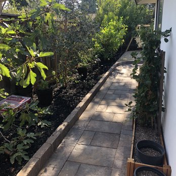 Kay Green Landscape - Walkway - Landscaping Near Me