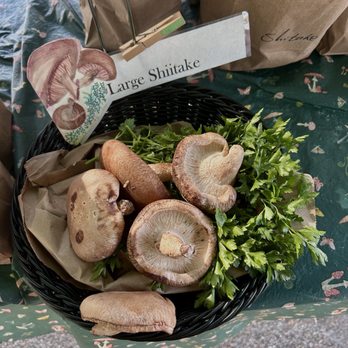 Pasadena Farmers Market - Mushrooms - Farmers Market Near Me - Pasadena, California Pasadena Farmers Market - Mushrooms - Farmers Market Near Me - Pasadena, California
