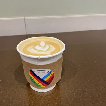 Vereda Central - TD Centre - Coffee Roasteries Near Me - Toronto, Ontario