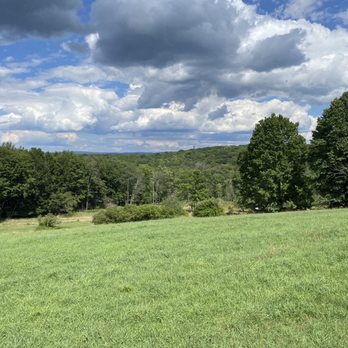 Daisy Field Farm - Horseback Riding Near Me - White Haven, Pennsylvania