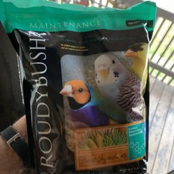 Parrot Island
