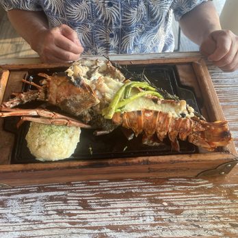 Fred's - Whole lobster with mash potatoes & asparagus. - Mexican Near Me - Cancún, ROO