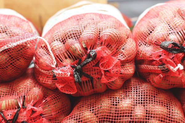 Gilbert Pecan Co by null