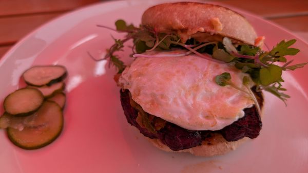 Wise Acre Eatery by null