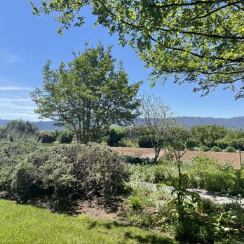 Frog's Leap Winery - Wineries Near Me - Rutherford, California Frog's Leap Winery - Wineries Near Me - Rutherford, California
