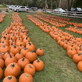 ADAM'S FARM - Pumpkin Patches Near Me - Cumberland, Rhode Island