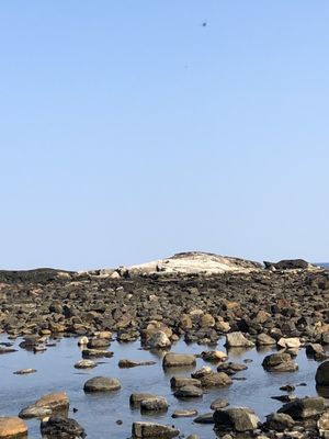 Jenness State Beach by null