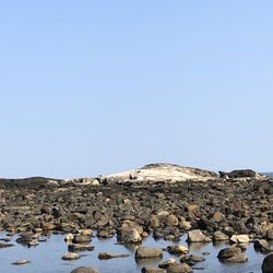 Jenness State Beach