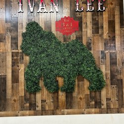 B & I Public Market Place - Ivan the gorilla