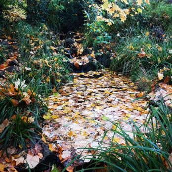 The Priory Park - Sensory garden - Parks Near Me - Malvern, WOR