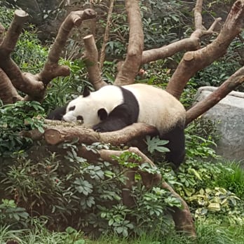 香港海洋公園 - Aquariums Near Me - Hong Kong, HK