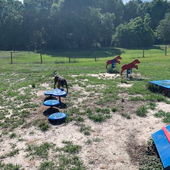 Squirrel Ridge Park - Obstacles and Play Area for Dogs - Parks Near Me - Gainesville, Florida
