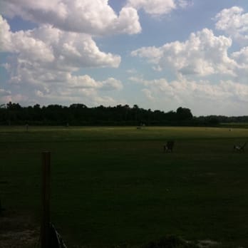 Tee It Up - Golf Near Me - Oviedo, Florida
