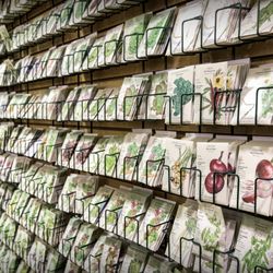 Pike Nurseries