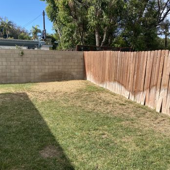 Hi-Quality Tree Service  - Tree Services Near Me