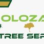 Toloza Tree Service