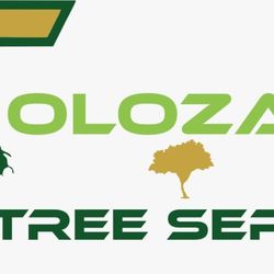 Toloza Tree Service