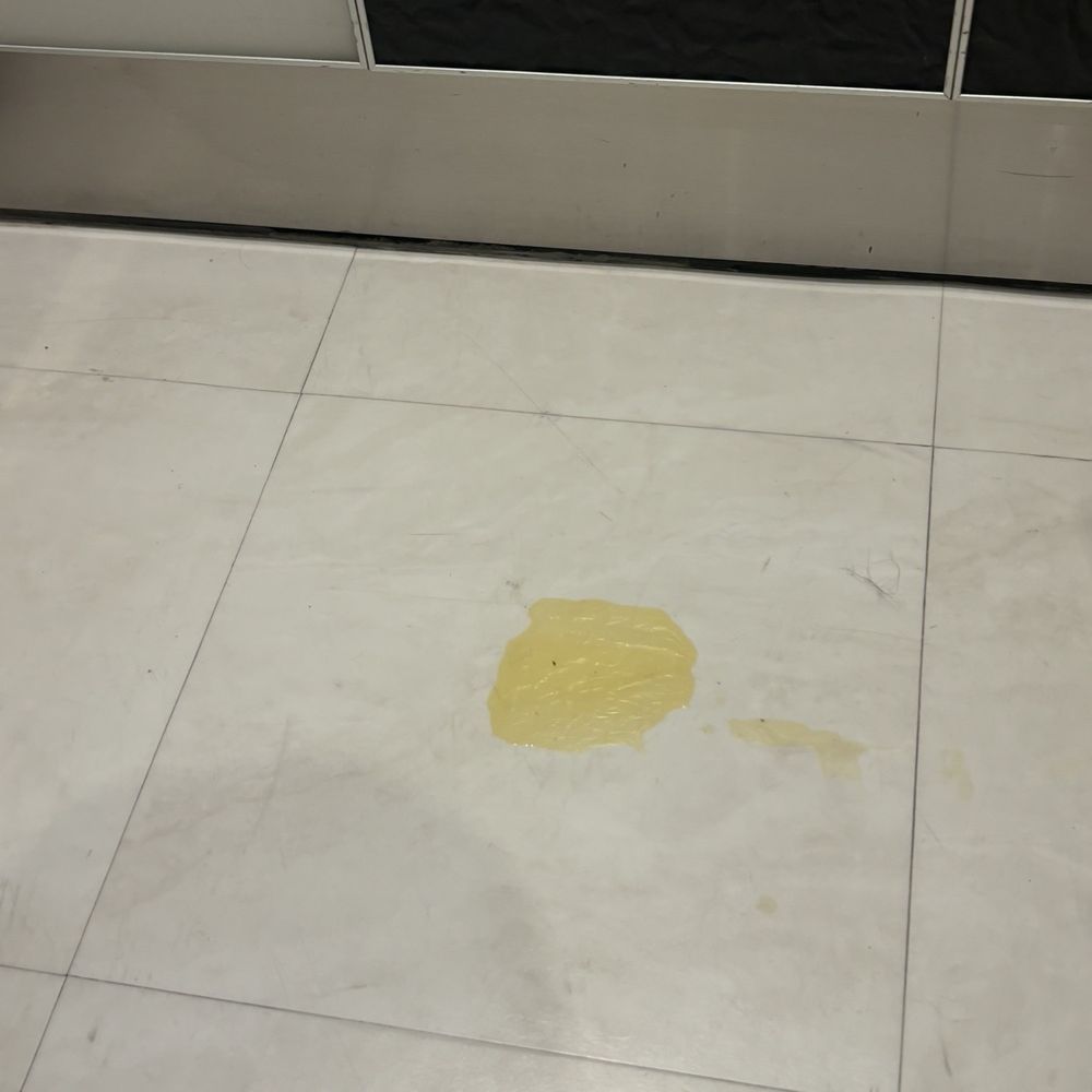 G12 - Dog pee In the elevator - Apartments Near Me - Los Angeles, California G12 - Dog pee In the elevator - Apartments Near Me - Los Angeles, California
