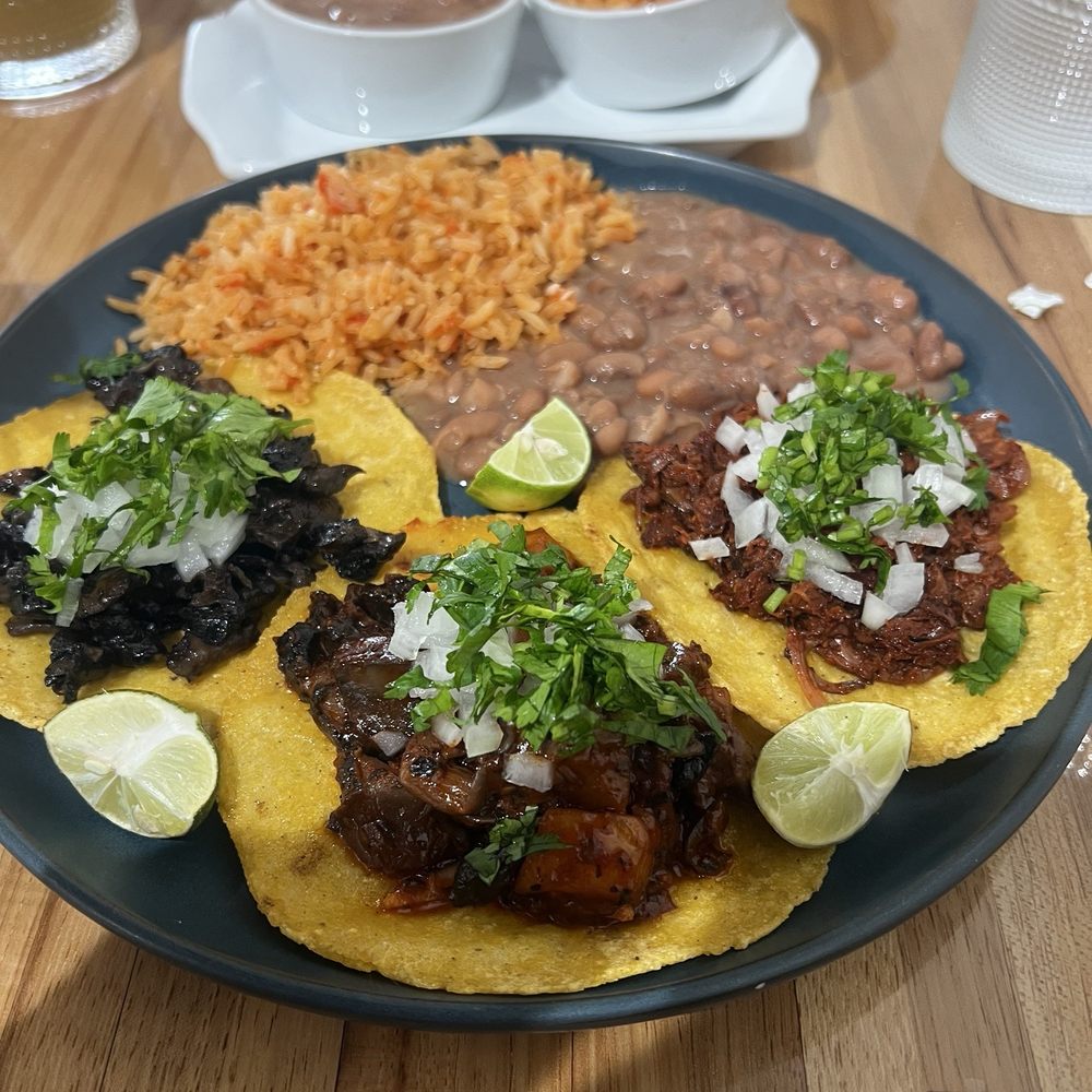 Abuelita Coco - Taco dinner (from left to right  asada, pastor, birria) Birria was my favorite - Vegan Near Me - Oak Lawn, Illinois