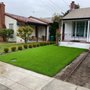Photo of Bay Area Turf